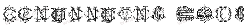 Intellecta Roman Tal字体转换